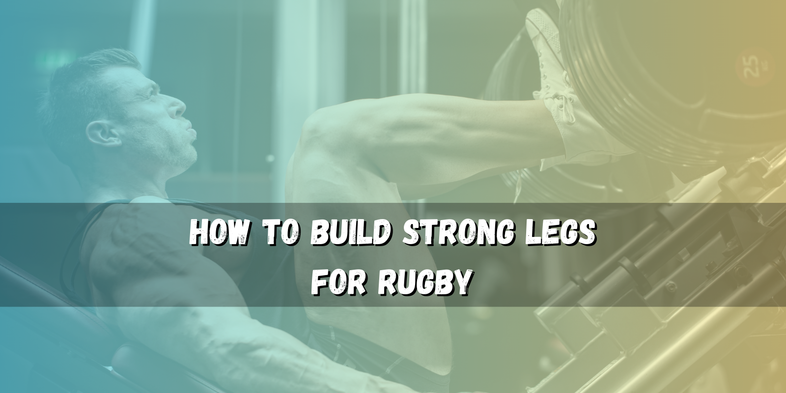 How to Build Strong Legs