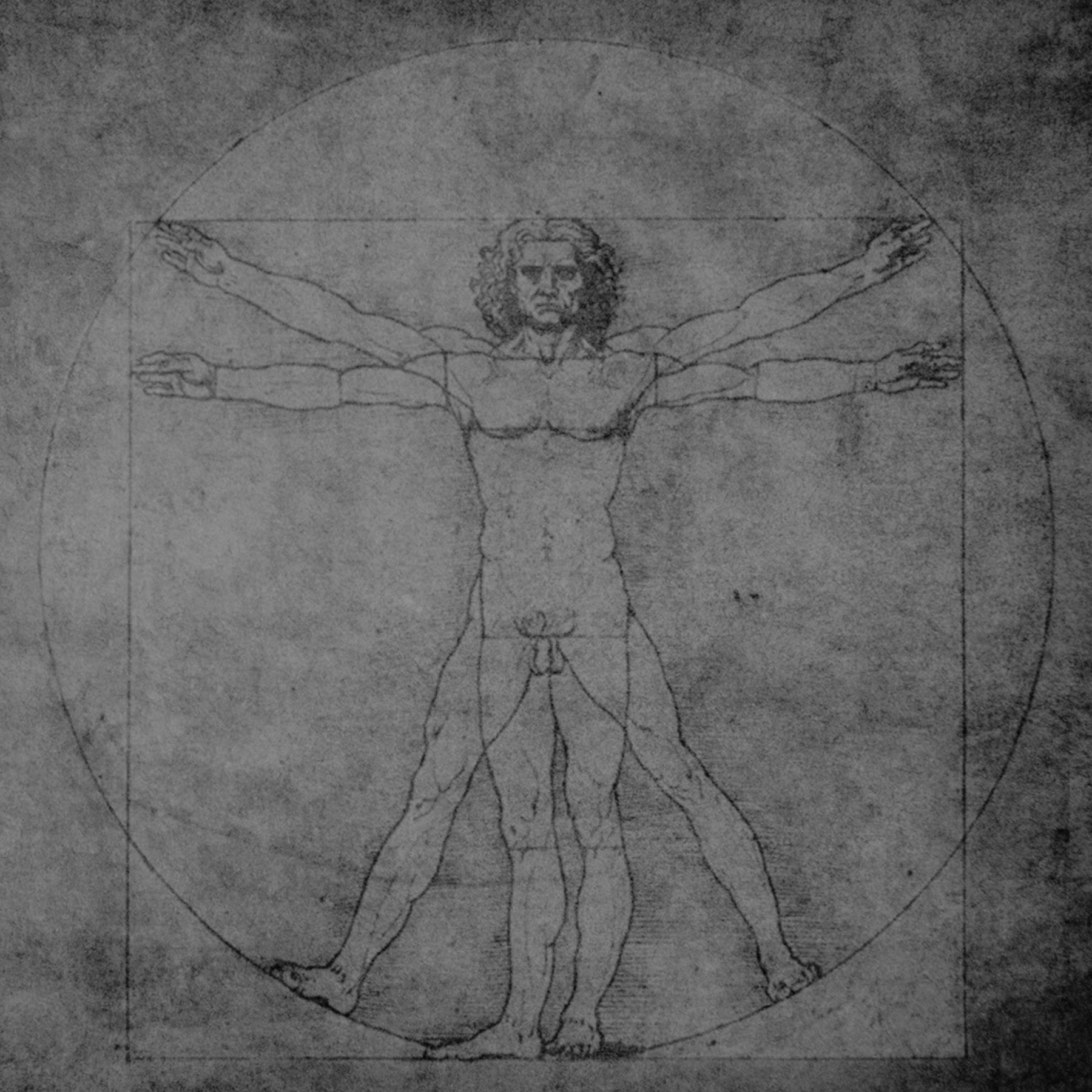 Famous drawing of a man in two poses with geometric lines on a textured gray background